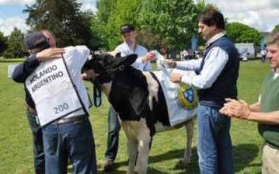 Sarqu�s pidi� al campo 