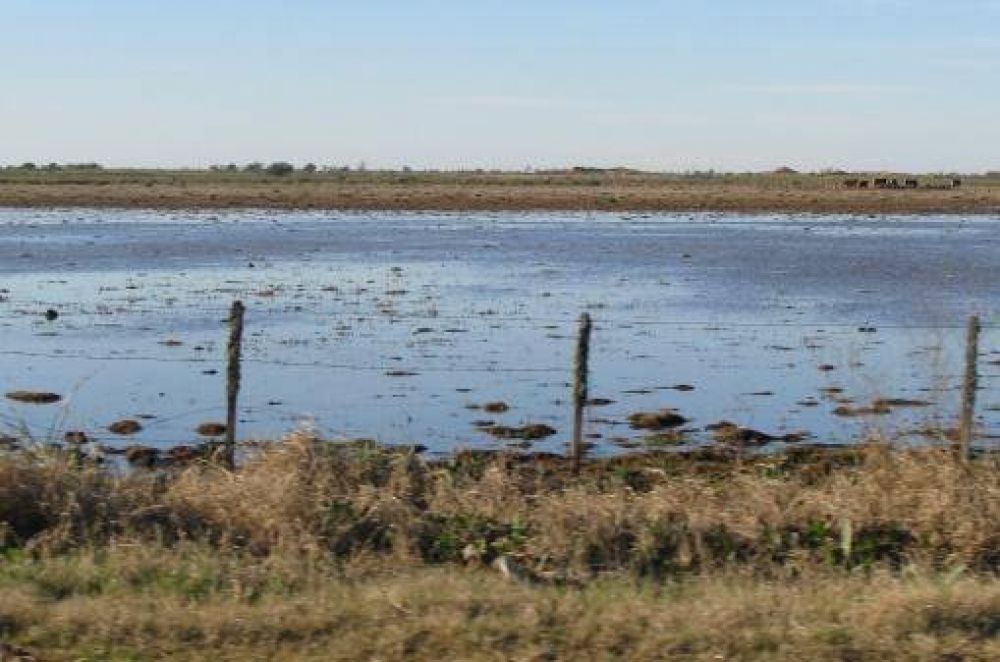 Inundaciones: ministro anuncia la pr�rroga de la emergencia de campos