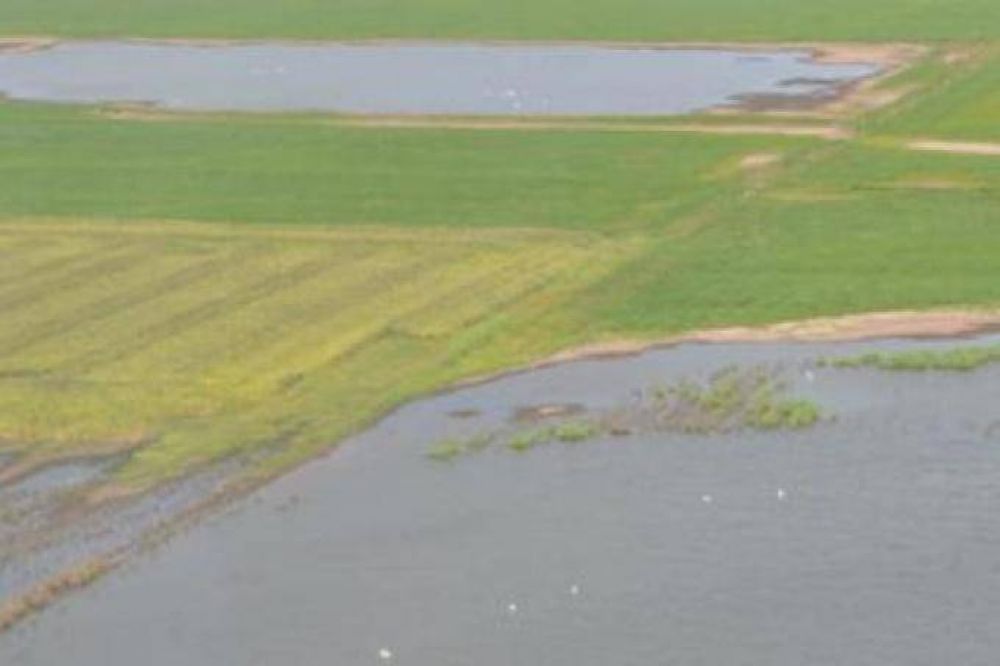 Aseguran que el 60% de la zona rural de General Villegas se encuentra bajo agua