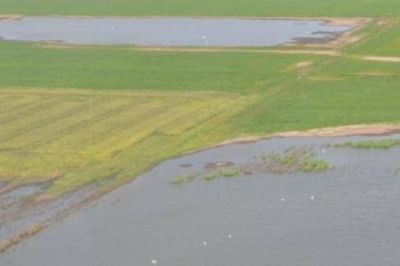 Aseguran que el 60% de la zona rural de General Villegas se encuentra bajo agua