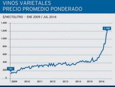 Fuertes aumentos registrados en los precios de uvas y vinos