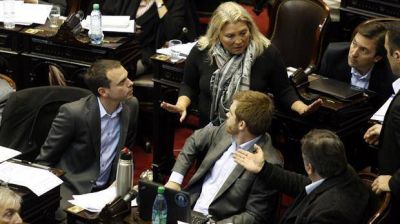 Elisa Carri� rechaza la ley que impulsa el Gobierno para desplazar a Alejandra Gils Carb�
