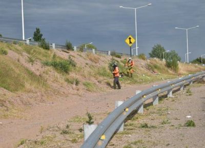 Limpian y desmalezan las banquinas de la Ruta N� 147