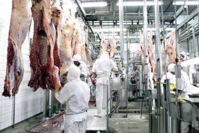 La Provincia oficializ� el subsidio el�ctrico para 140 empresas