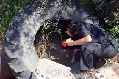 Comenz� la campa�a de prevenci�n sobre dengue