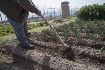 Penal Federal: un proyecto del BSPA en la Feria de Ciencias