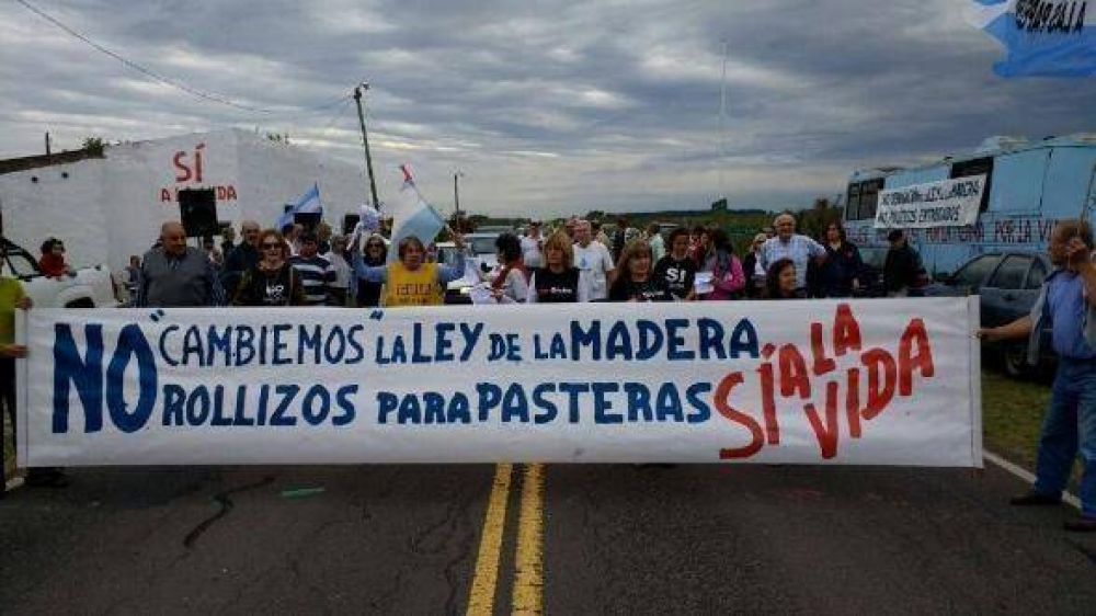 El Gobierno recibir a ambientalistas de Gualeguaych para dialogar sobre la reforma de la Ley de la Madera