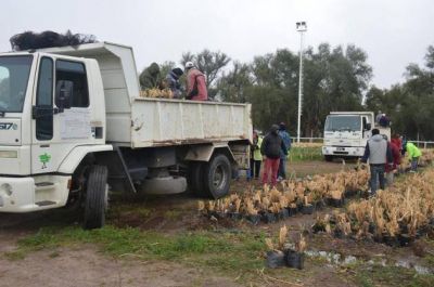 Cuenca del Morro: 5 mil cortaderas iniciaron su viaje forestal