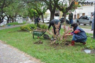 Tareas de embellecimiento en espacios verdes de Patagones