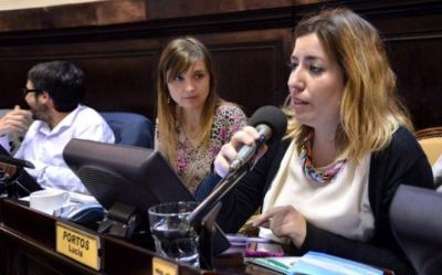 Portos present� un proyecto que busca garantizar al acceso al derecho de la interrupci�n legal del embarazo