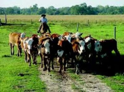 Crece el malestar de los productores salte�os por la nueva ley de ganader�a
