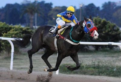 Hoy se reinaugura Hip�dromo de Tandil