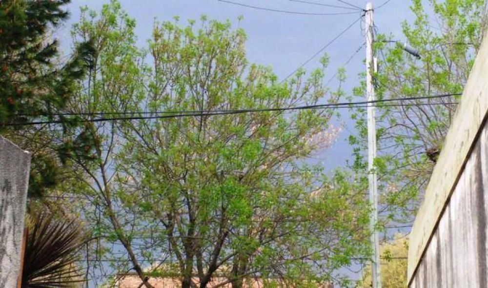 Rige alerta por tormentas fuertes para el sur de C�rdoba
