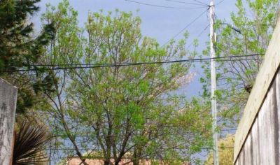 Rige alerta por tormentas fuertes para el sur de C�rdoba