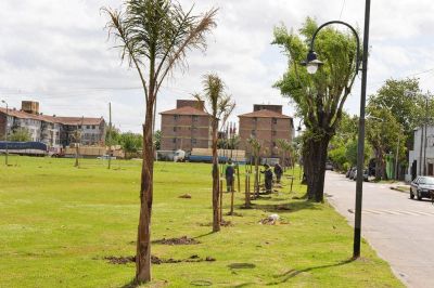 Avanza con �xito el Plan de Forestaci�n en San Fernando