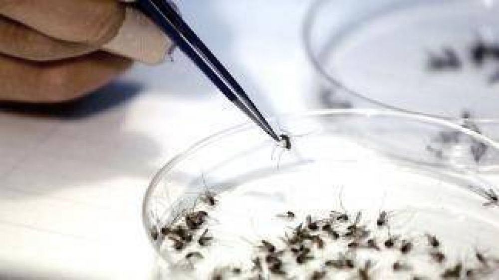 El 80% de los pacientes con zika presenta erupciones o lesiones rojas en la piel