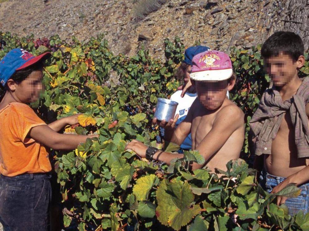 Gobierno encontr� a 6 ni�os trabajando en empresas