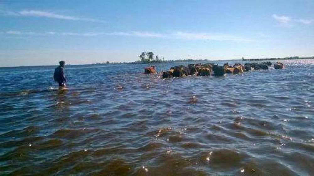 Subsidio a cada empleado rural de General Villegas afectado por las inundaciones