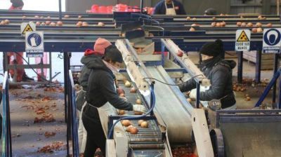 La cebolla dej� n�meros alentadores