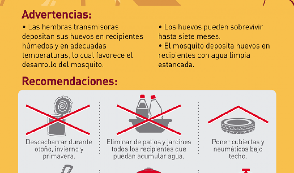 GRINDETTI LANZ� EL PLAN DE PREVENCI�N CONTRA EL DENGUE