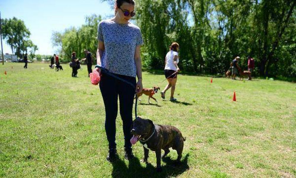 San Fernando impulsa la tenencia responsable de mascotas