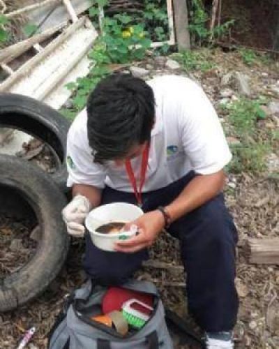Salud contin�a analizando casos sospechosos de dengue