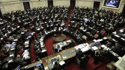 La C�mara de Diputados ratific� el aumento en las dietas