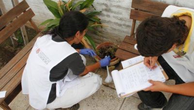 Dengue: mayor riesgo en floreros, botellas y piletas