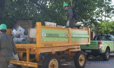 Dengue: alertan sobre la circulaci�n de otros tipos y expansi�n del brote en el pa�s
