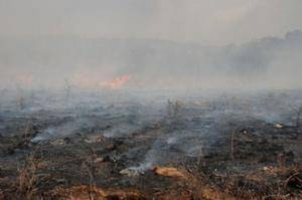 La Provincia decret el alerta ambiental por riesgo de incendios