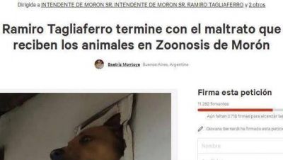 M�s de 11 mil personas reclaman que 