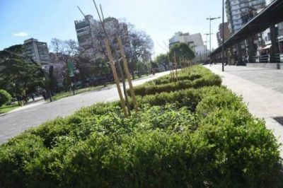 M�nica Fein recorri� obras realizadas en el �rea hist�rica