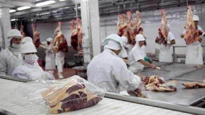 Argentina acord� con Uruguay la importaci�n de carne con hueso