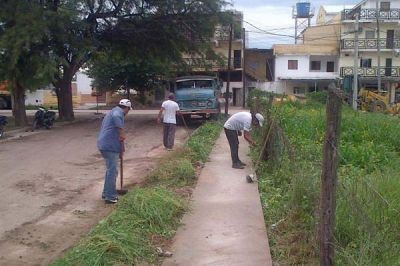 El Municipio Capitalino realiz� tareas de desmalezamiento en el B� E. Arjentino
