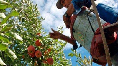 �Certificado de defunci�n de lo productores�