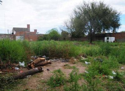 Impulsan una ley provincial para que due�os limpien sus bald�os
