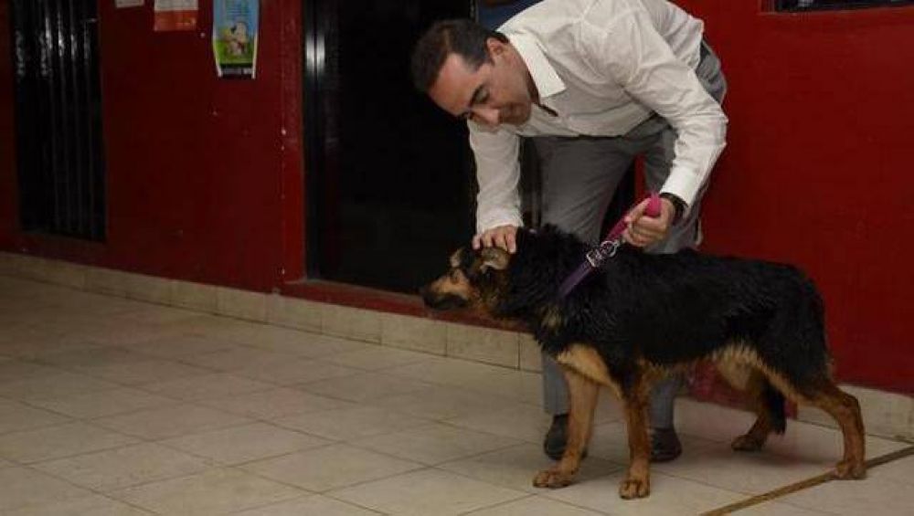 Las autoridades del Colegio de Veterinarios solicitan ser recibidos por el municipio de Mor�n