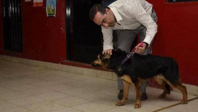 Las autoridades del Colegio de Veterinarios solicitan ser recibidos por el municipio de Mor�n