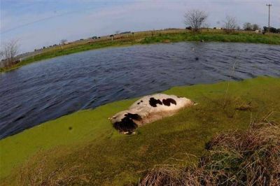 La Federaci�n Agraria se suma al reclamo por los peque�os y medianos productores