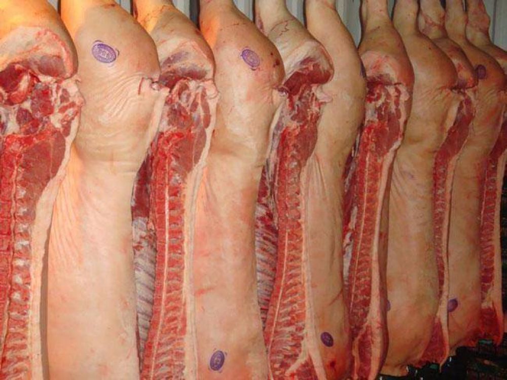 Senasa autoriz el ingreso de carne y embutidos de cerdo a la Patagonia