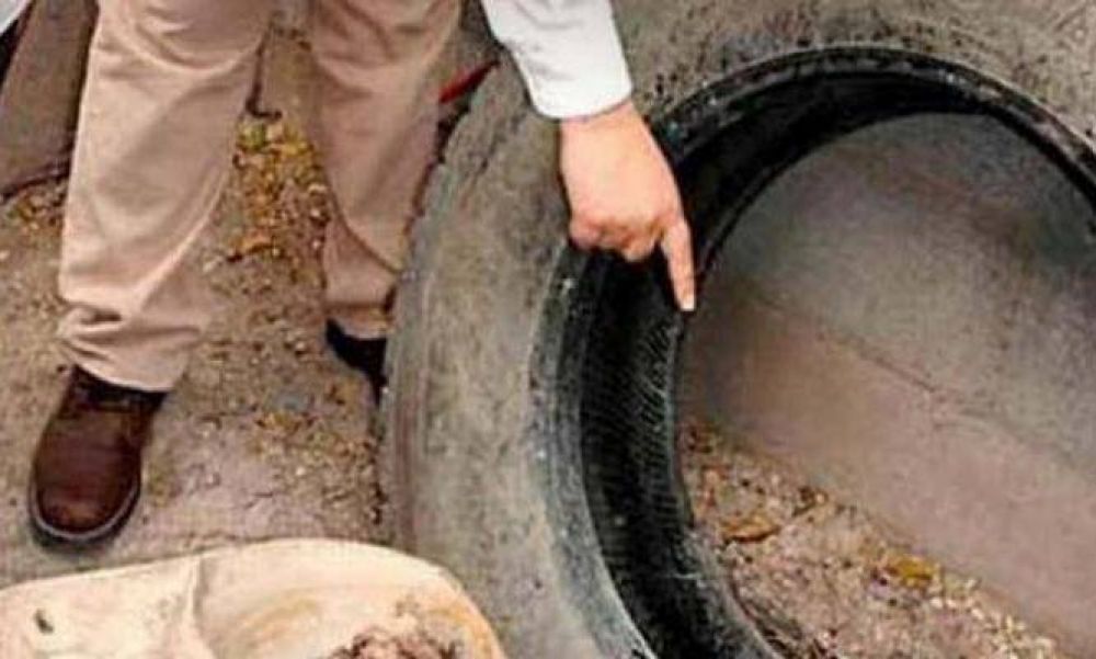 Con charlas en las escuelas, arranca la campa�a contra el dengue en Pilar