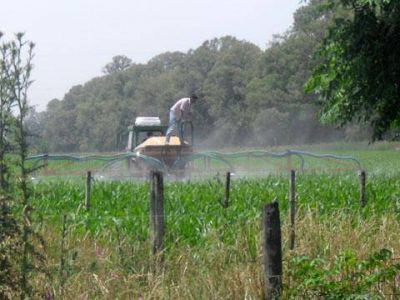 Piden cumplimiento en uso de agroqu�micos