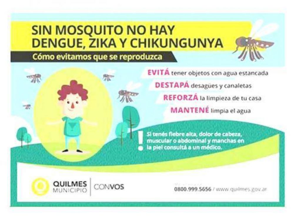 Retoman la lucha contra el dengue