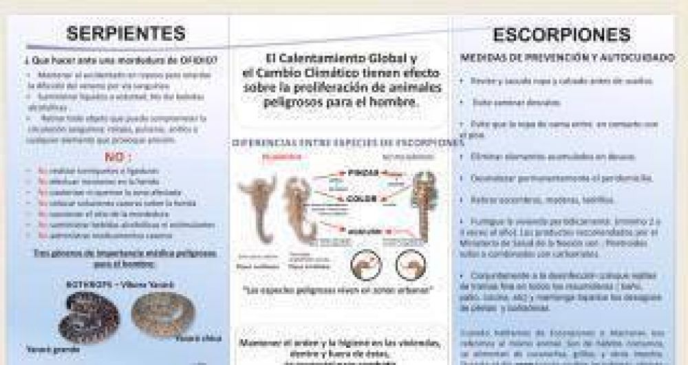 Tucum�n cuenta con un programa espec�fico contra alacranes, ara�as y serpientes