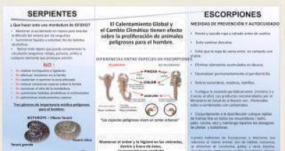 Tucum�n cuenta con un programa espec�fico contra alacranes, ara�as y serpientes
