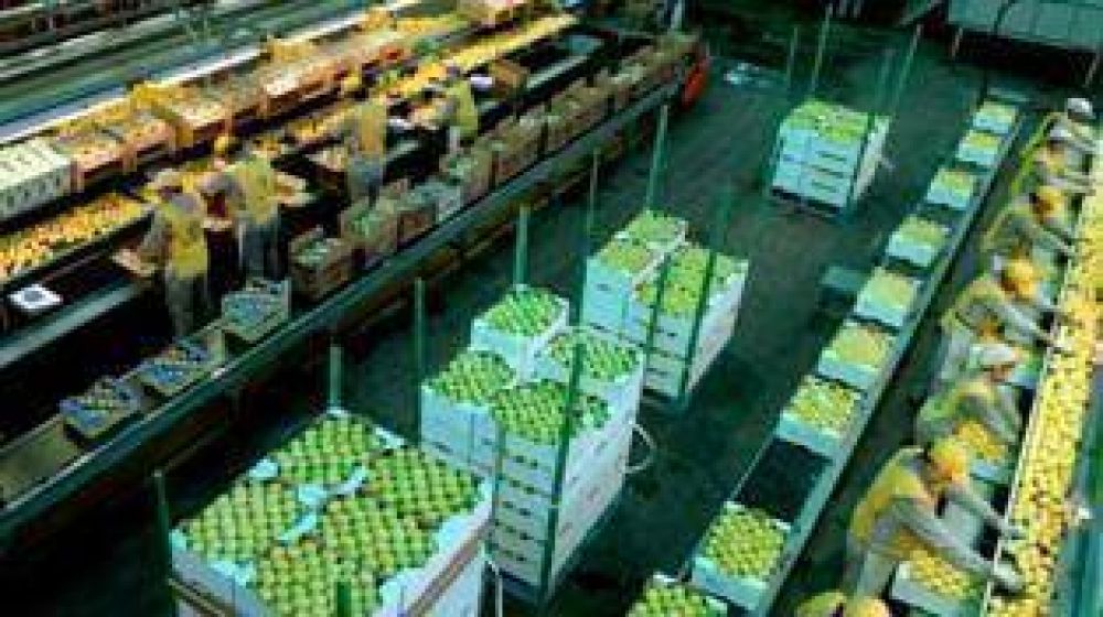 Manzur confa en poder vender los limones tucumanos