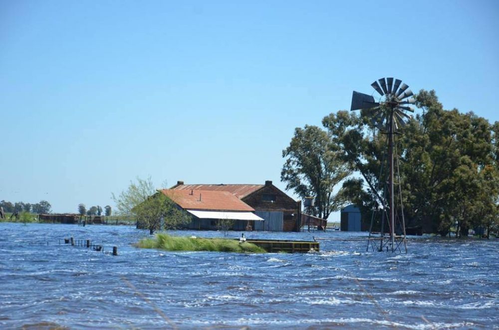 Inundaciones: dan cr�ditos a los acopiadores