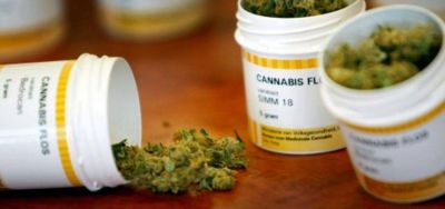 Marihuana medicinal: madres accedieron al alivio por internet