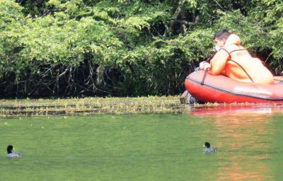 Contin�an los trabajos de limpieza y mantenimiento en el paseo Laguna Verde