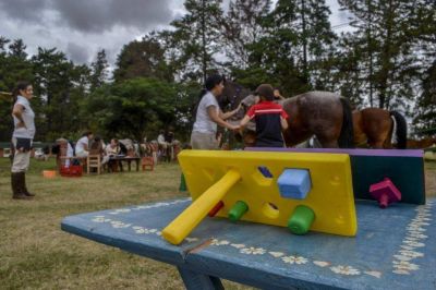 En Salta, la equinoterapia fue aprobada como m�todo terap�utico